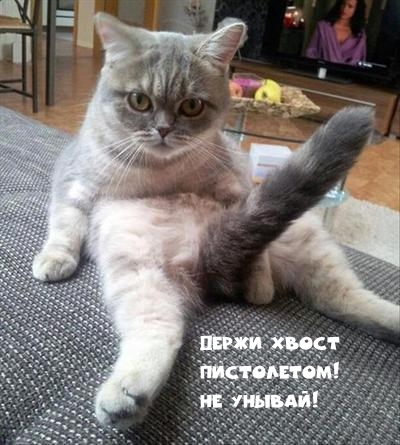 Держи хвост пистолетом! Не унывай!