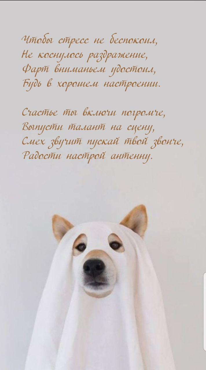 Чтобы стресс не беспокоил, не коснулось раздражение
