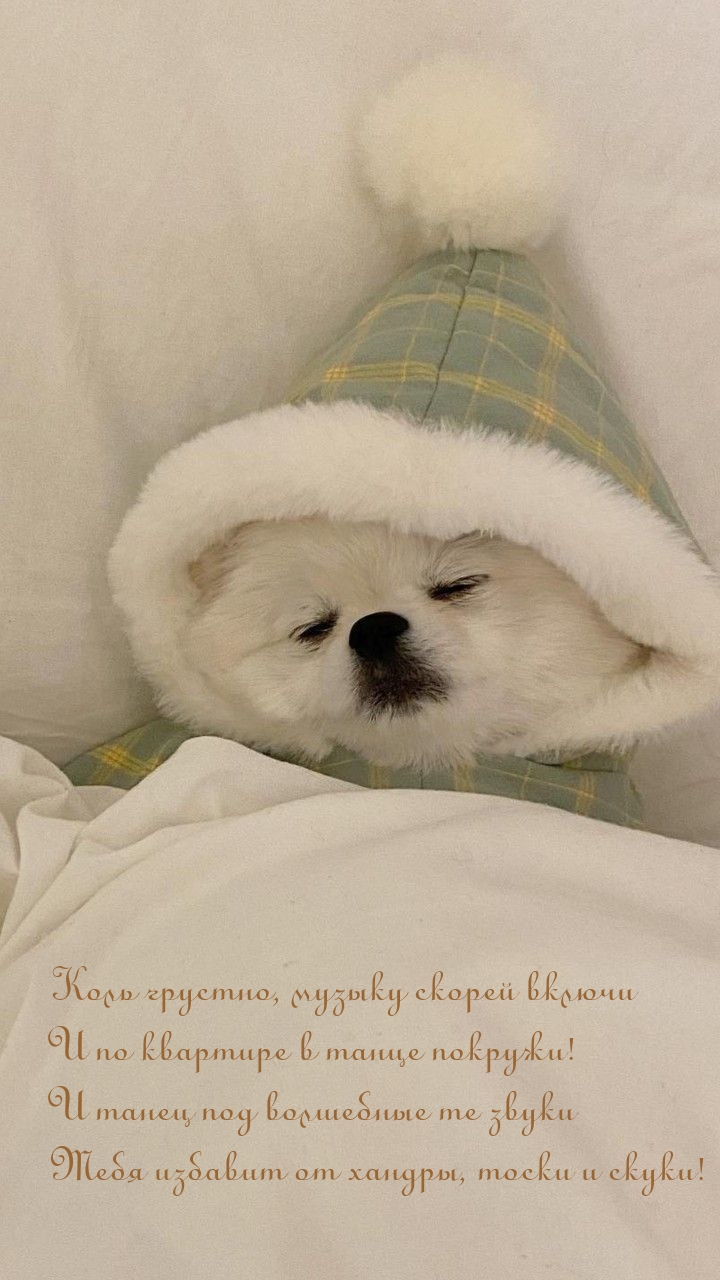 Коль грустно, музыку скорей включи и по квартире в танце покружи!