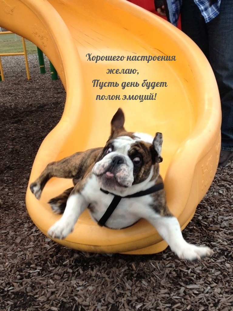 Хорошего настроения желаю, пусть день будет полон эмоций!