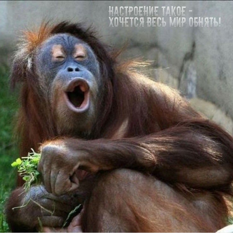 Настроение такое — Хочется весь мир обнять!