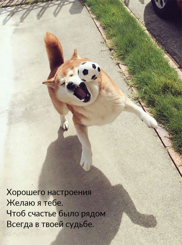 Чтоб счастье было рядом всегда в твоей судьбе.