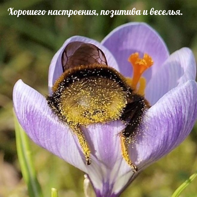Хорошего настроения, позитива и веселья.
