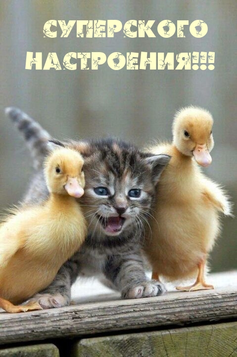 Суперского настроения!