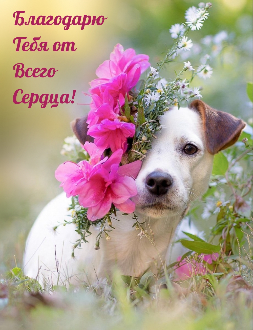 Благодарю Тебя от Всего Сердца!