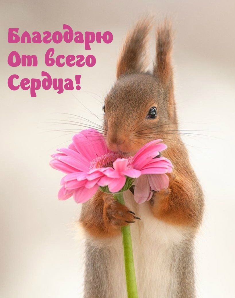 Благодарю От всего Сердца!