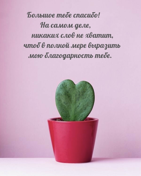 Большое тебе спасибо!