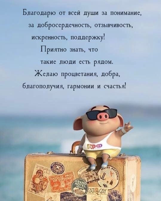 Благодарю от всей души за понимание