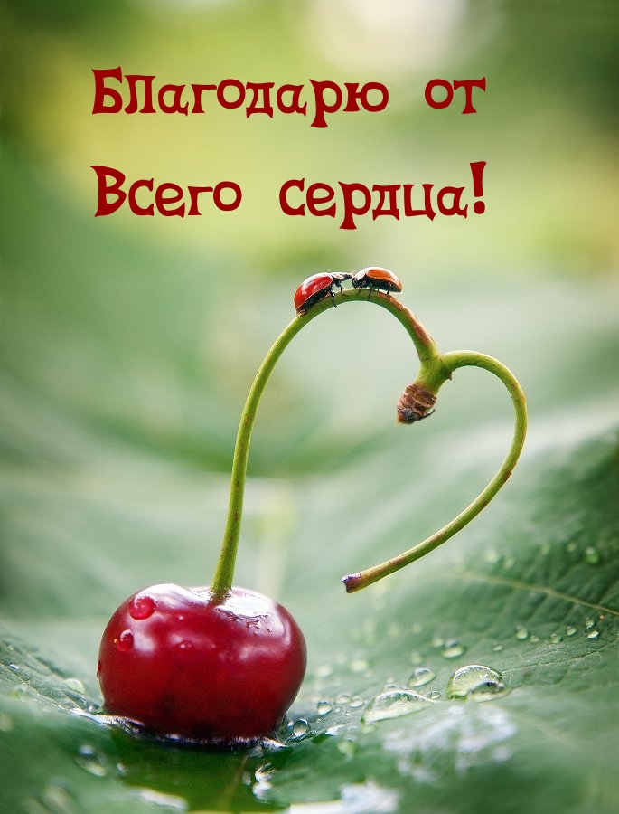 Благодарю от Всего сердца!