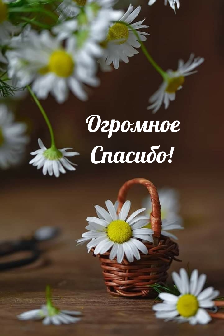 Огромное Спасибо!