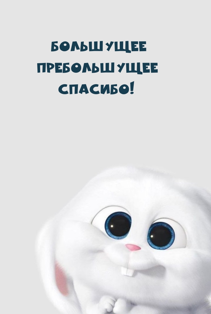 Большущее Пребольшущее Спасибо!