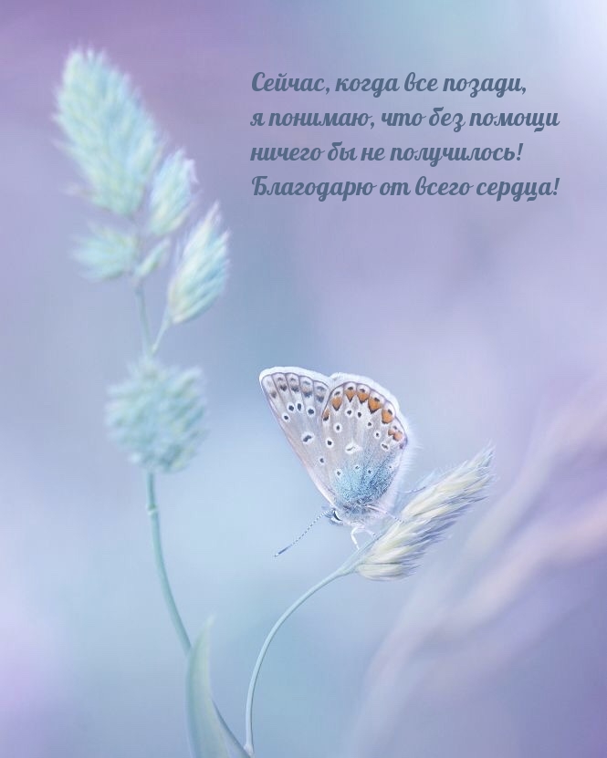 Благодарю от всего сердца!