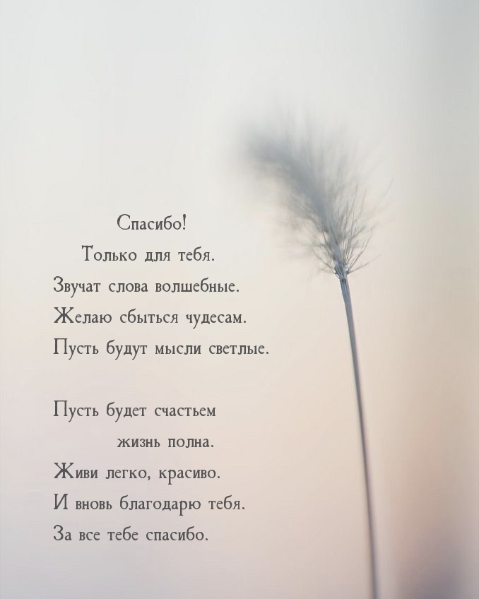 Спасибо! Только для тебя. Звучат слова волшебные.