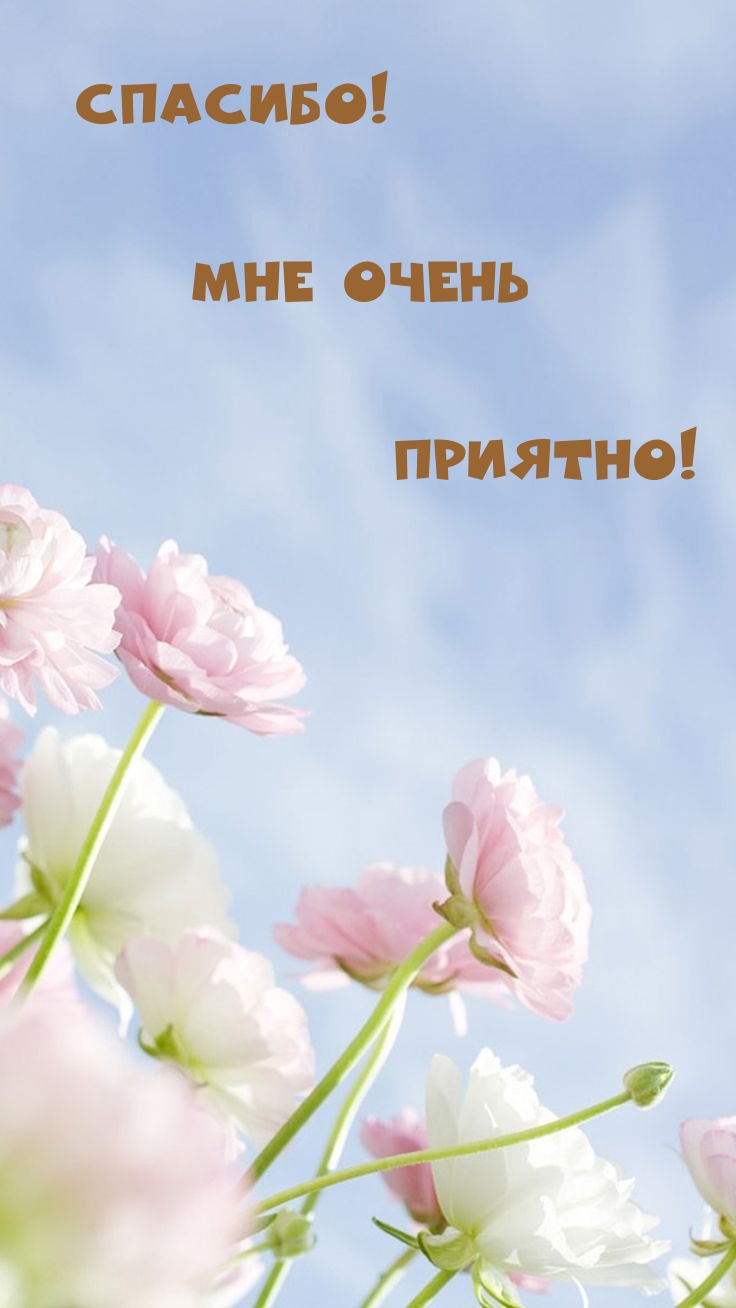 Спасибо! Мне очень приятно!