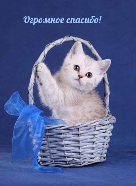 Огромное спасибо!