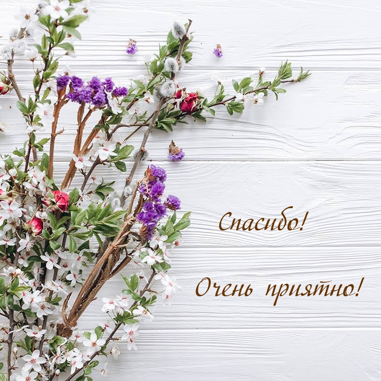 Спасибо! Очень приятно!