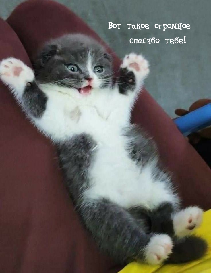 Вот такое огромное спасибо тебе!