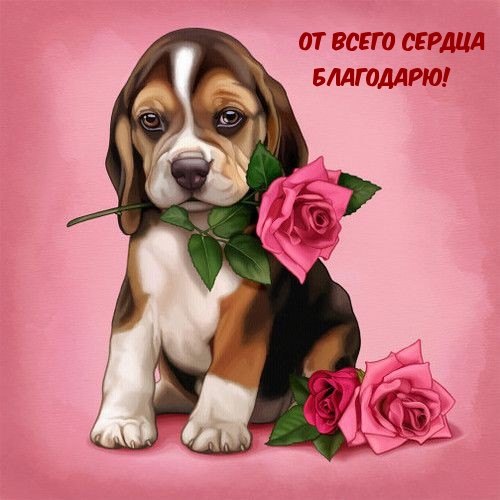 От всего сердца благодарю!