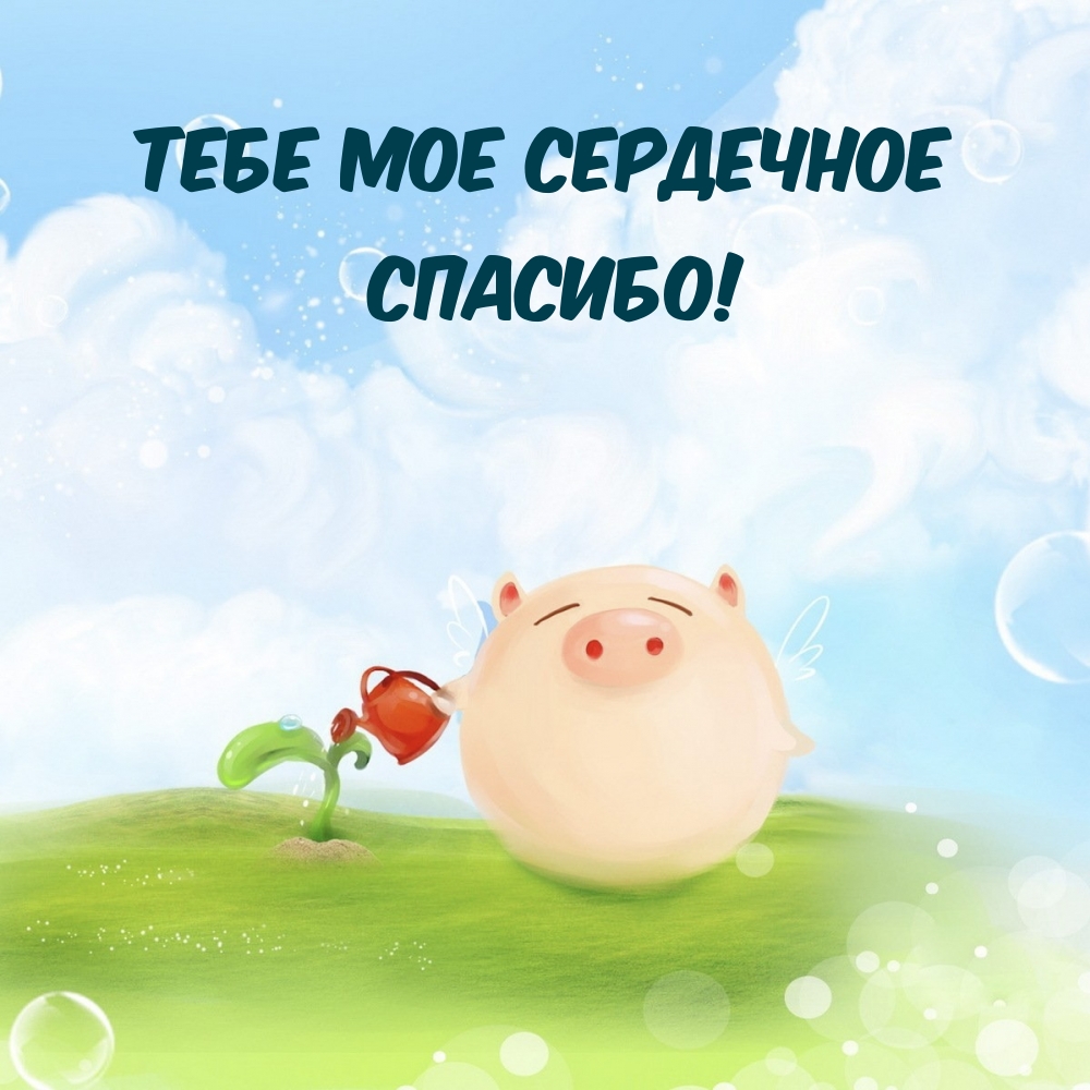 Тебе мое сердечное СПАСИБО!