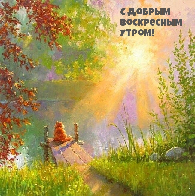 С добрым воскресным утром!
