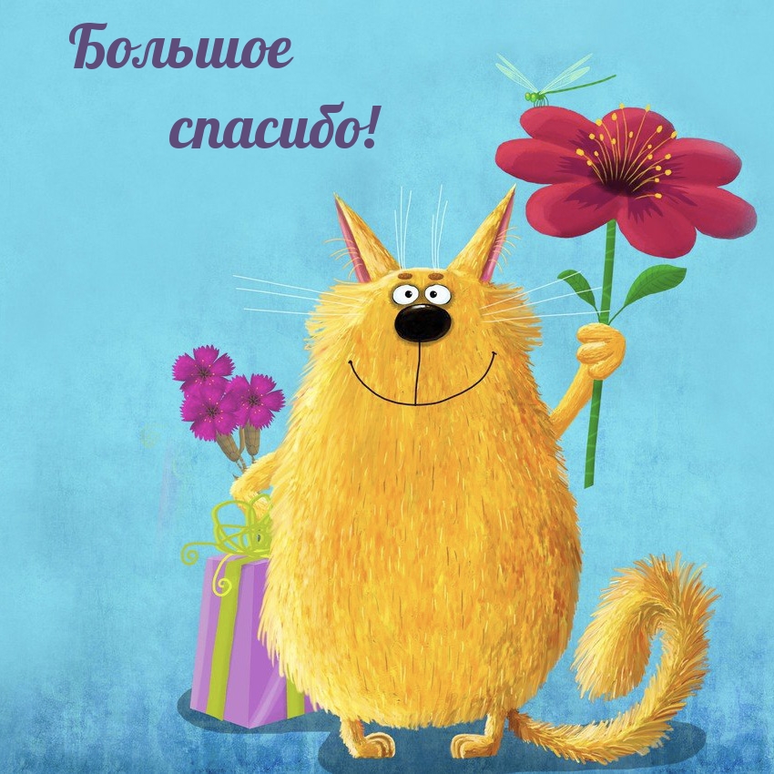 Большое спасибо!