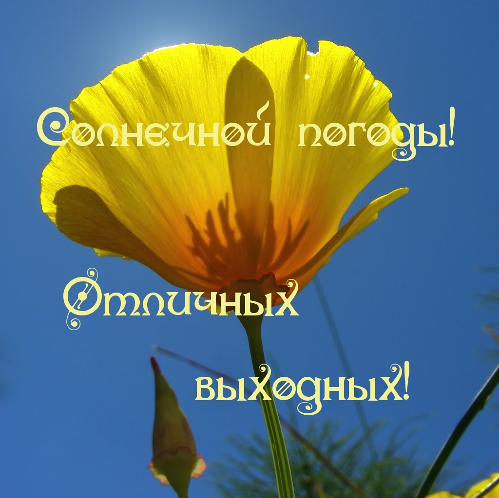 Солнечной погоды, отличных выходных!
