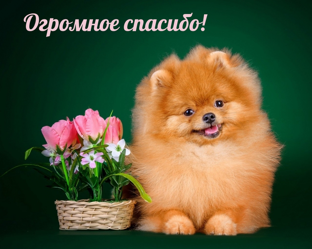 Огромное спасибо!