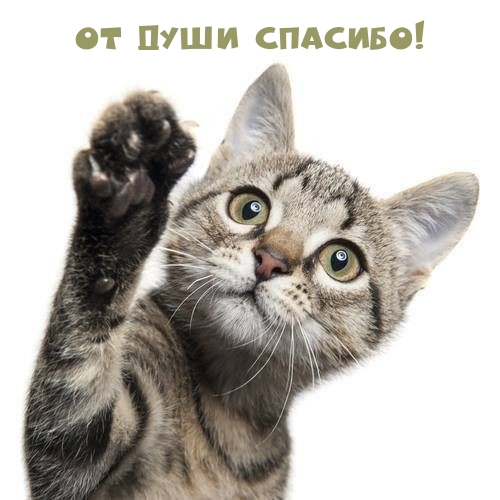 От души спасибо!
