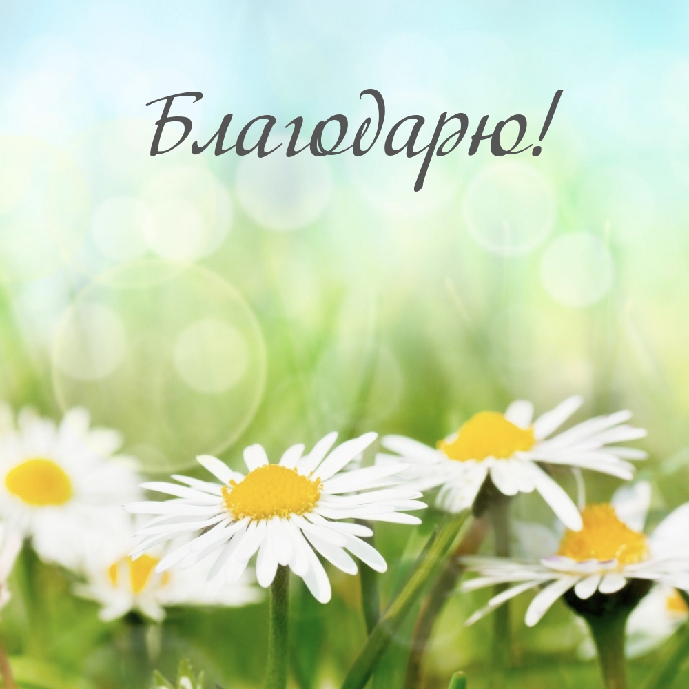 Благодарю!
