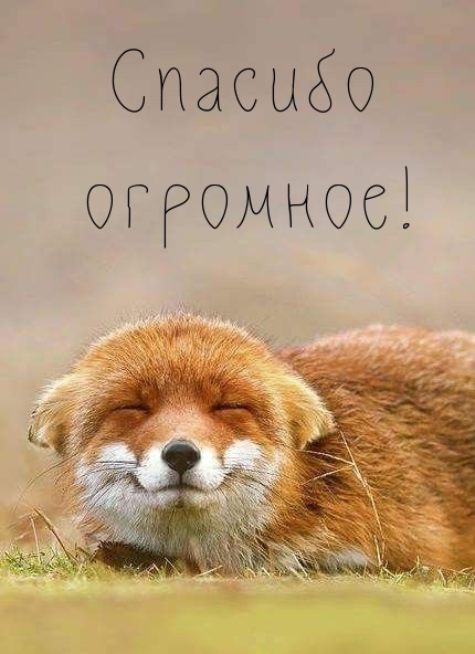 Спасибо огромное!