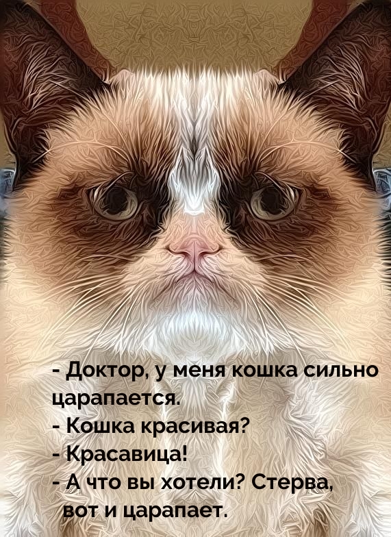 — Доктор, у меня кошка сильно царапается. — Кошка красивая?
