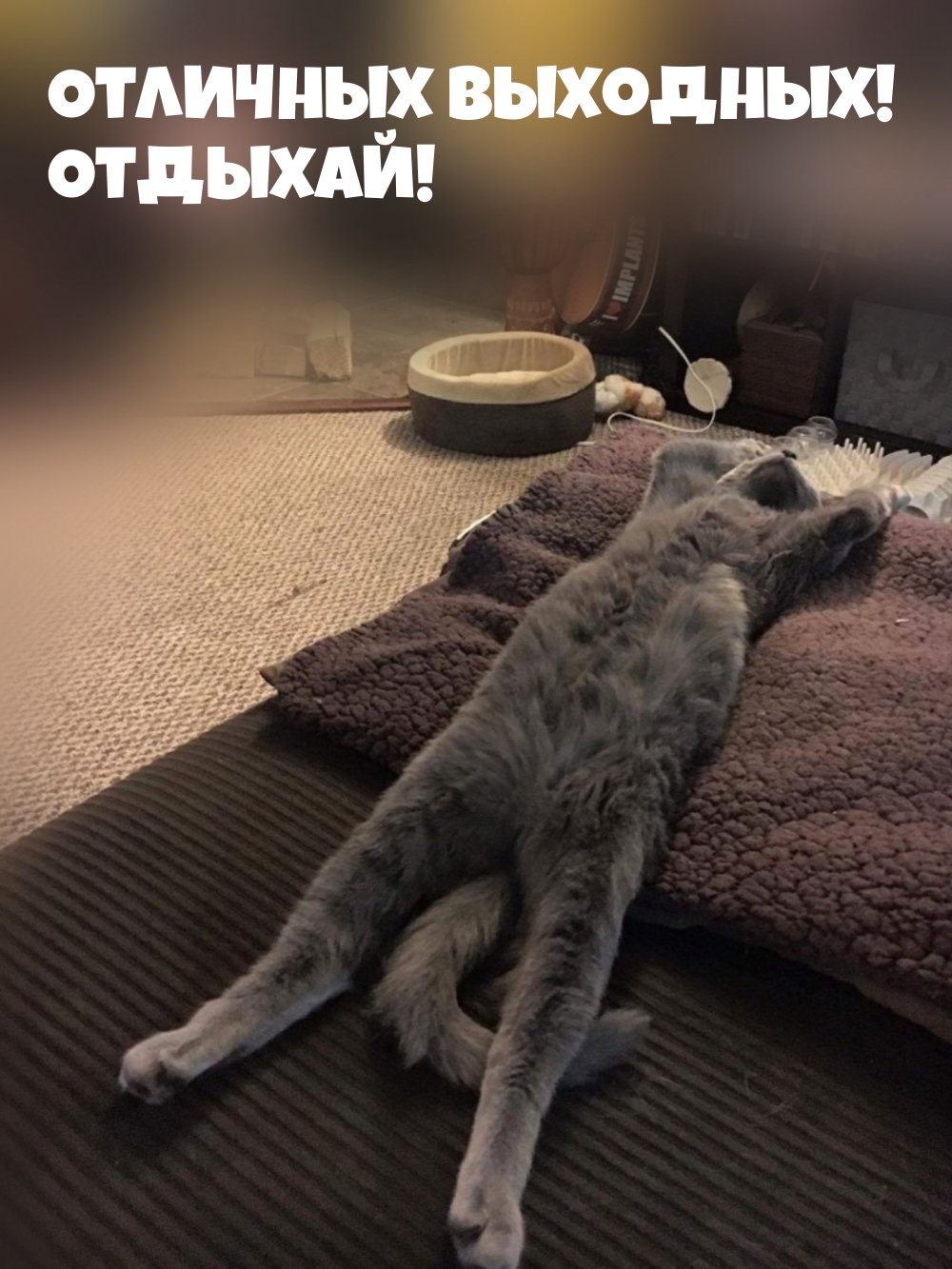 Отличных выходных! Отдыхай!