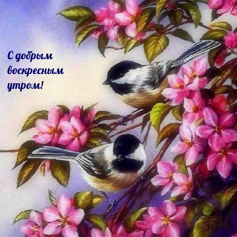 С добрым воскресным утром!