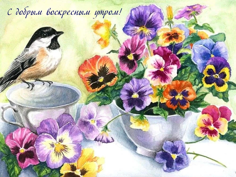 С добрым воскресным утром!