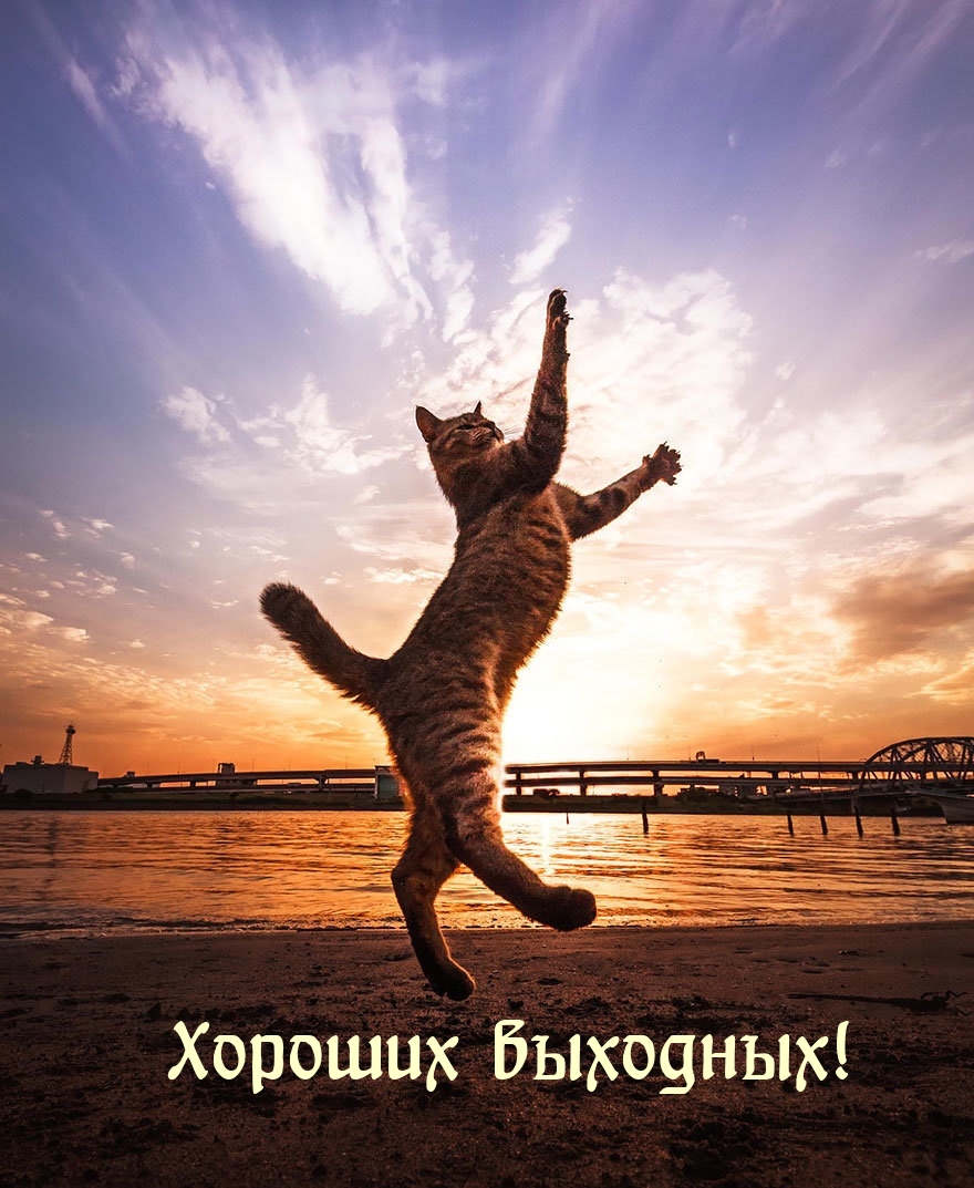 Хороших выходных!