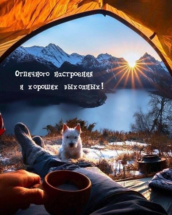Отличного настроения и хороших выходных!