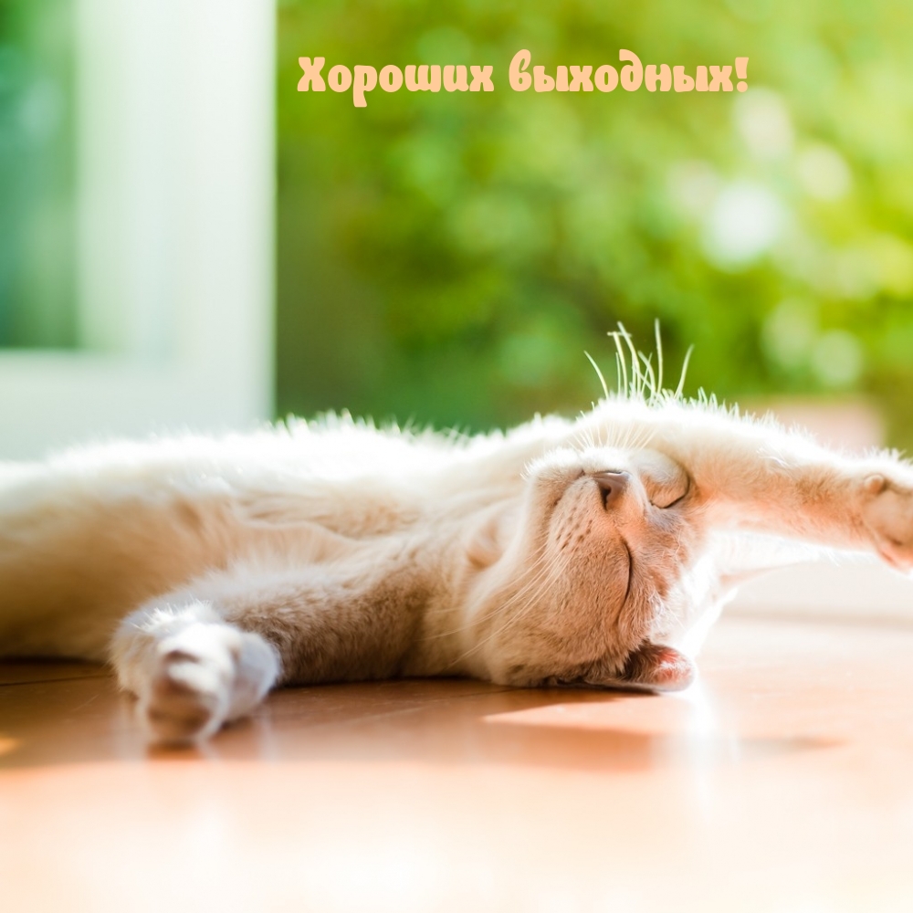 Хороших выходных!
