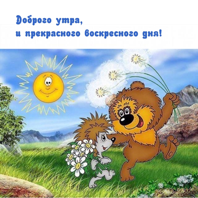 Доброго утра, и прекрасного воскресного дня!