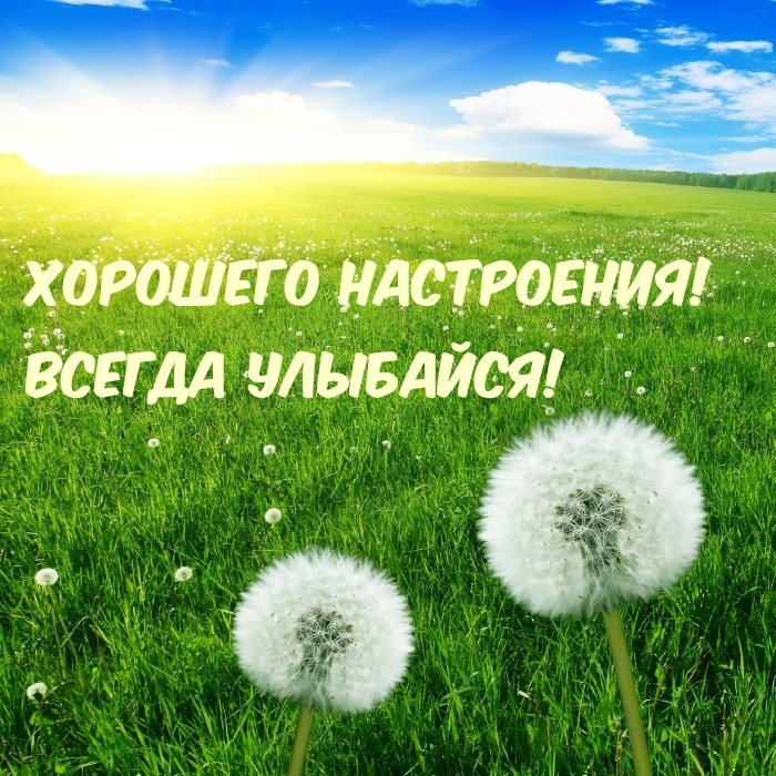 Хорошего настроения! Всегда улыбайся!
