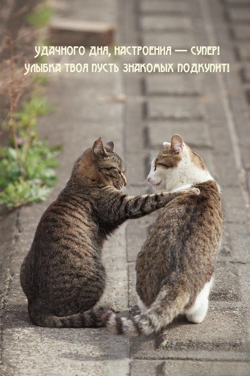 Удачного дня, настроения — супер!