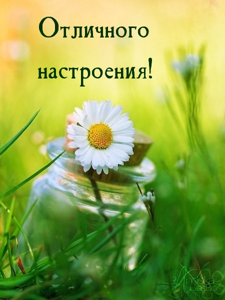 Отличного настроения!