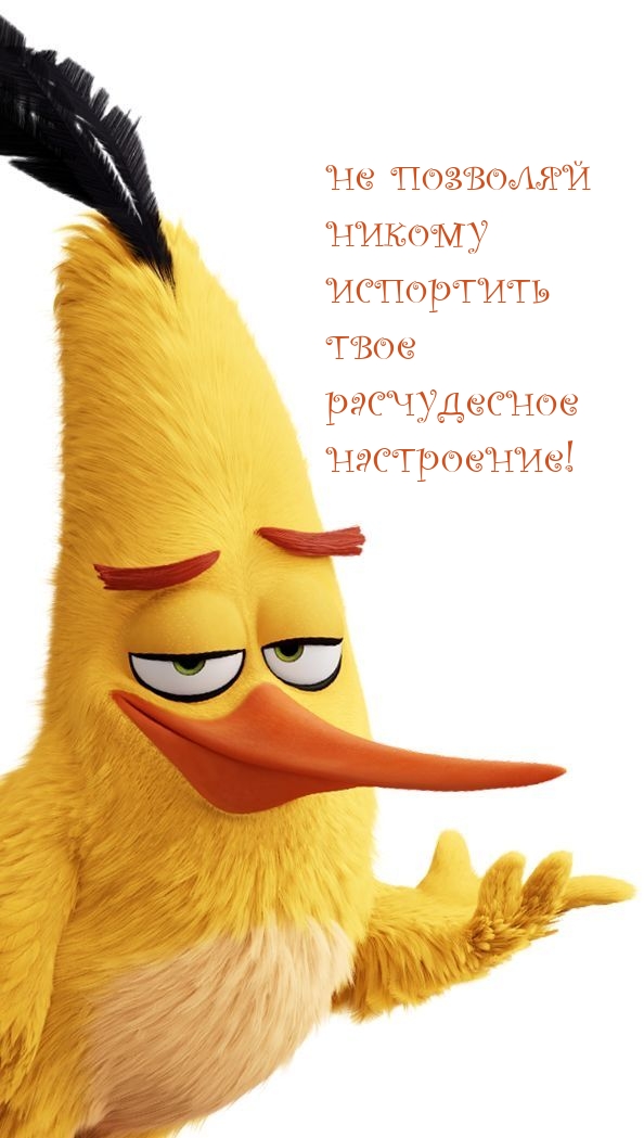 Не позволяй никому испортить твое расчудесное настроение!