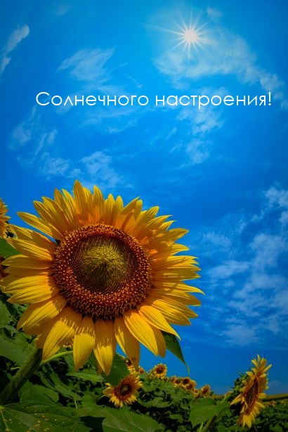 Солнечного настроения!