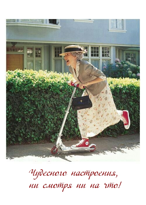 Чудесного настроения, ни смотря ни на что!