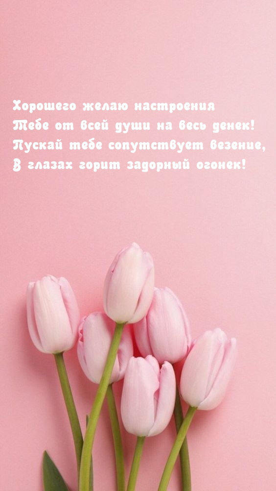 Хорошего желаю настроения Тебе от всей души на весь денек!