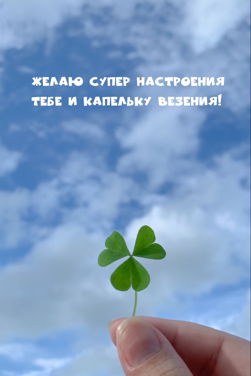 Желаю супер настроения тебе и капельку везения!
