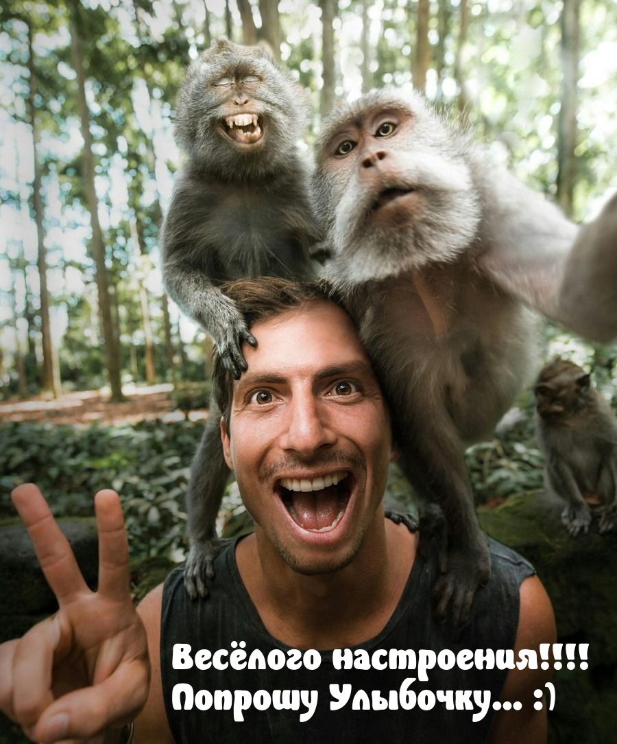 Весёлого настроения! Попрошу Улыбочку… :)