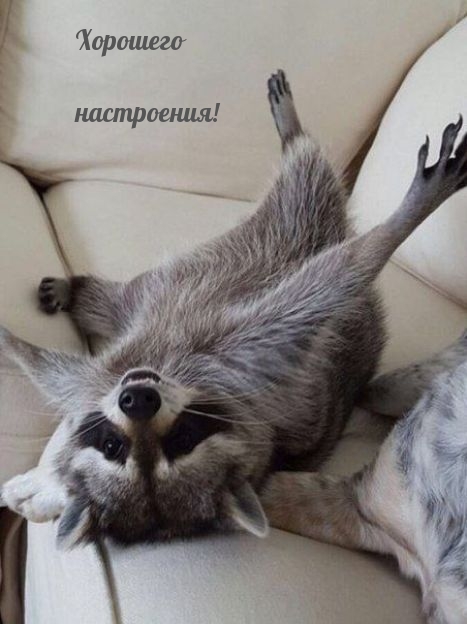 Хорошего настроения!