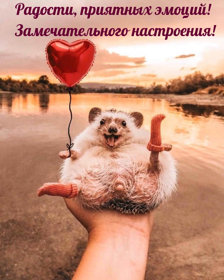 Радости, приятных эмоций! Замечательного настроения!