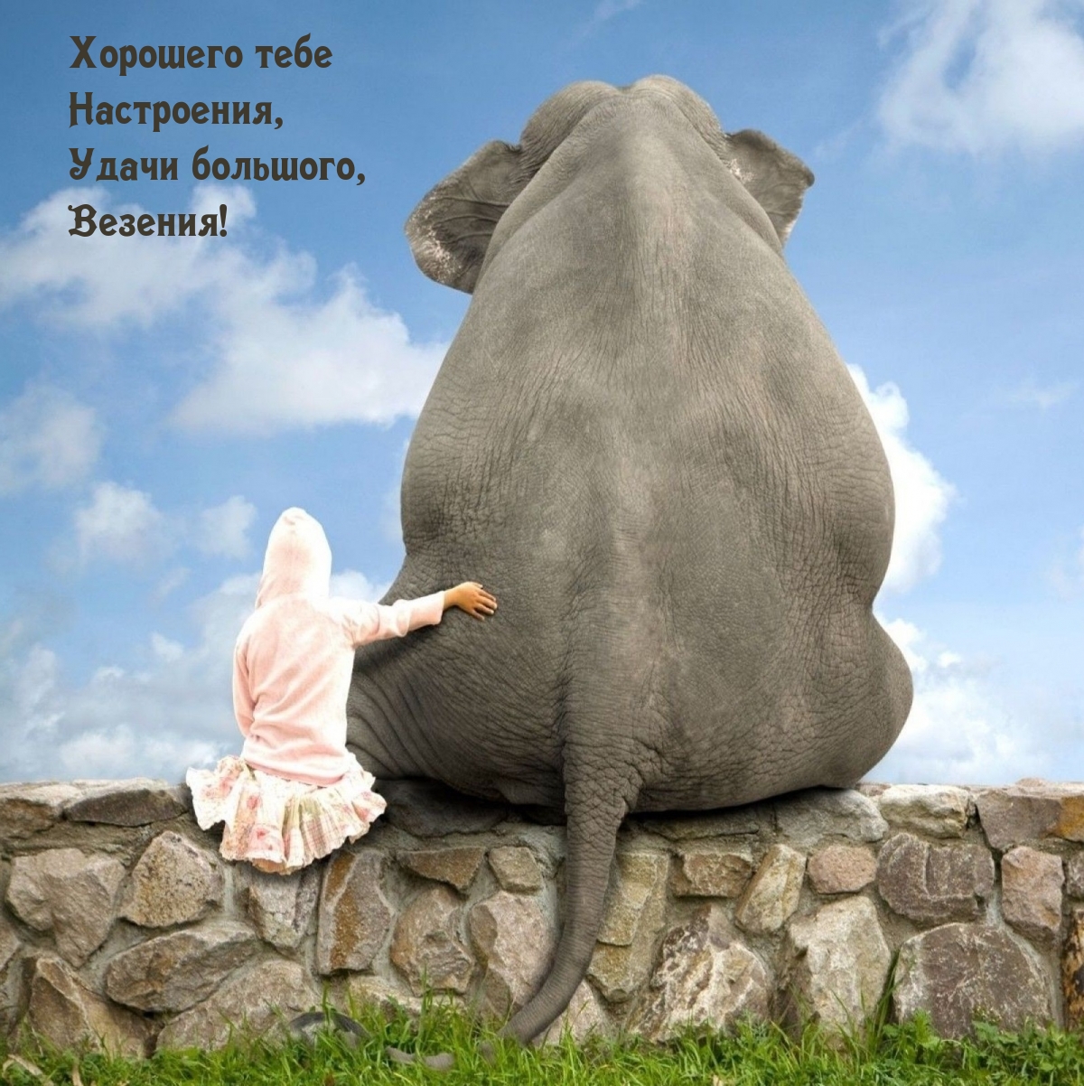 Хорошего тебе Настроения, Удачи большого, Везения!